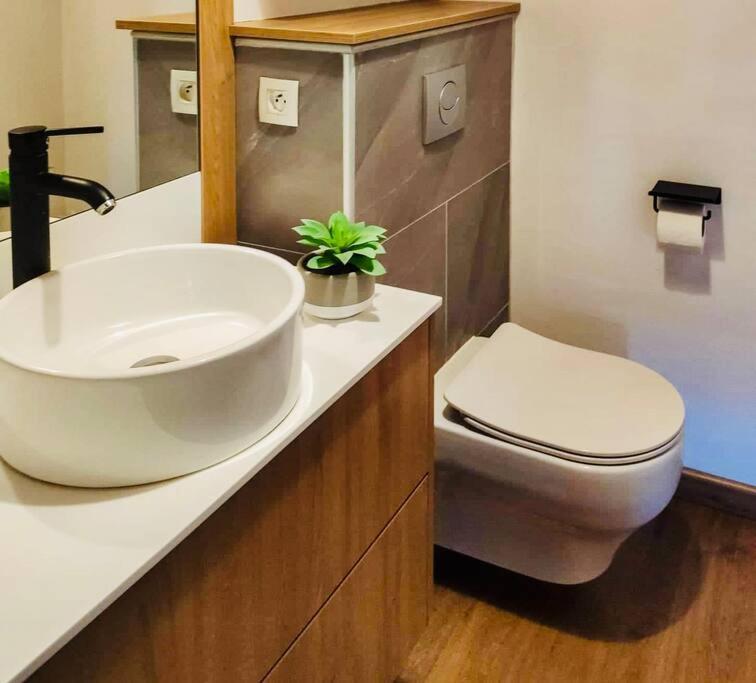 Sunbliss Appartement Saint-Gilles-les Bains Eksteriør billede